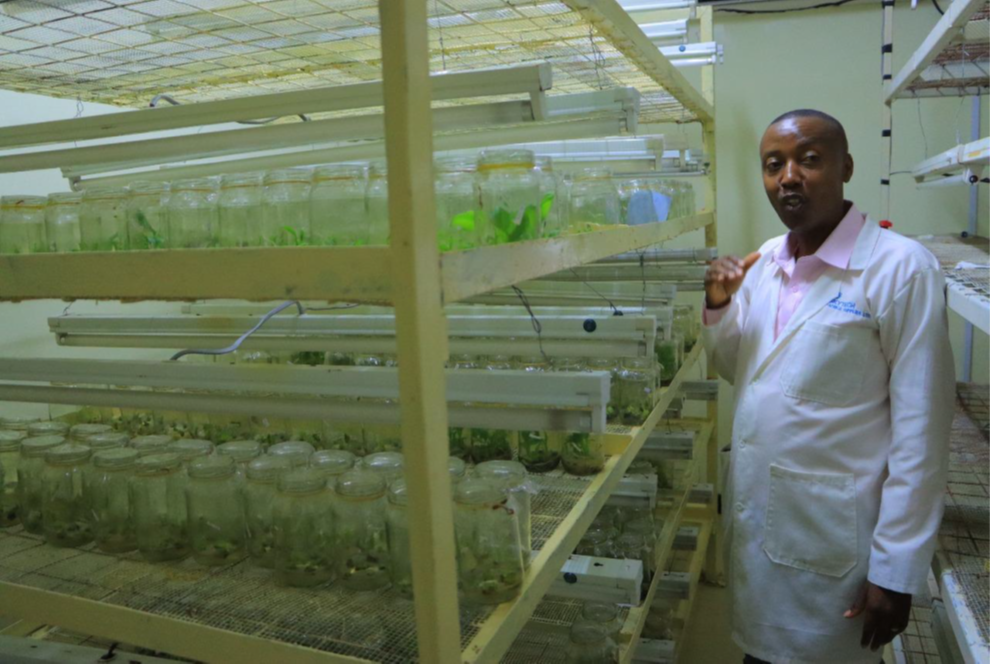 Biotechnology Lab for Crop Production.